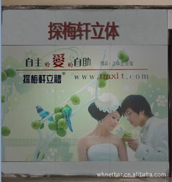 郑州市金水区探梅轩技术咨询服务部 艺术品鉴赏与工艺画收藏指南