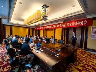 科技部固废资源化项目课题咨询会顺利召开，镁晶公司积极参与技术探讨